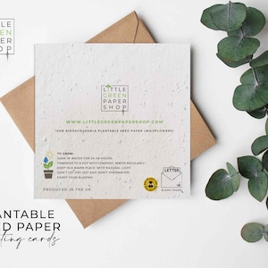 Biglietto di carta con semi di fiori piantabili - San Valentino - Amore, biglietto d'auguri, carino, regalo, amici, famiglia, ecologico - Miniera di api