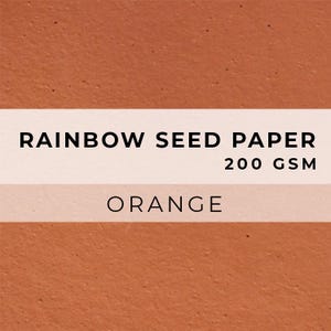 Coloured PAPER Sheets, A4 Paper, Flower Seed Paper, LGBTQ Sheet, Eco Friendly Paper, Sustainable RAINBOW Biodegradable image 7