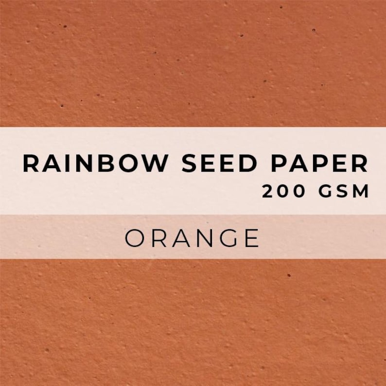 Coloured PAPER Sheets, A4 Paper, Flower Seed Paper, LGBTQ Sheet, Eco Friendly Paper, Sustainable RAINBOW Biodegradable image 7