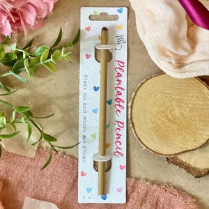 PLANTABLE PENCIL- Eco-friendly pencil with seeds, thoughtful gift, plant after use, grow wildflowers, Valentine's gift- Rainbow Hearts