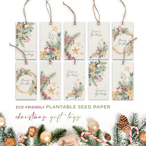 Étiquettes-cadeaux en papier pour graines de plantage, Noël, Noël, biodégradables et écologiques - Couronne étoilée (paquet de 10)
