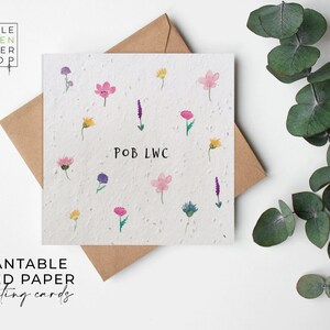 Fleurs en papier semences, cartes en papier semences, carte imprimée pour semences, cadeau jardinage respectueux de l'environnement - prairie estivale - bonne chance (gallois)