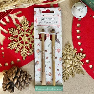 Set di penna e matita da piantare - Pettirossi, ecologico, pianta dopo l'uso, coltiva fiori selvatici, Natale, piccolo regalo, regalo premuroso, seminato