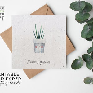 Blumen Saatpapier Karten - Danke - Gruß, Gracias, Danke, Wortspiel, Witz, Freunde, Familie, umweltfreundlich, biologisch abbaubar