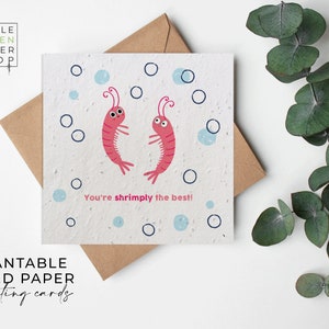 Papier pour fleurs, Cartes en papier pour graines, Carte pour graines de fleurs sauvages à planter, Carte pour graines imprimées, Cadeau jardinage respectueux de l'environnement - Crevettes, le meilleur