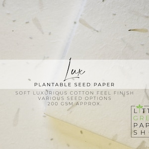 Papel de semente plantável A4 200gsm LUX - Flores Ecológicas Biodegradáveis Sustentáveis, Flores Silvestres com Pétalas de Calêndula