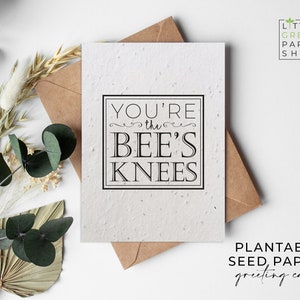 Pflanzenbare Blumen SaatpapierKarten A6 - Bienenknöpfe - Herzlichen Glückwunsch, Freunde, Familie, Gruß, Garten, umweltfreundlich, biologisch abbaubar