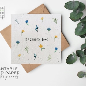 Fleurs en papier pour graines, cartes en papier pour graines, carte imprimée pour graines, cadeau jardinage respectueux de l'environnement - prairie estivale - bébé garçon (gallois)