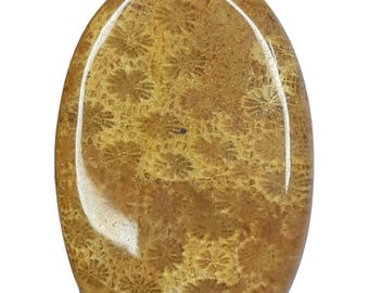 宝石 天然サンゴ 天然サンゴ ルース 裸石 7.628ct 球形 赤珊瑚 さんご レッド