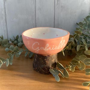 CUSTOMIZABLE ceramic bowl, with names, patterns, colors, and animals. Birth gift.