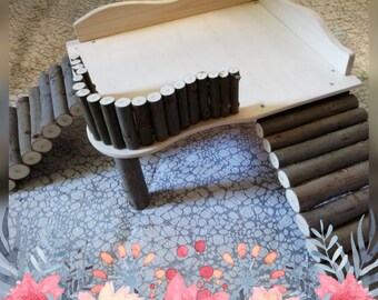 guinea pigs and ramps