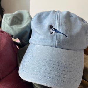May include: A light blue baseball cap with a small embroidered design of a blue and white bird on the front.