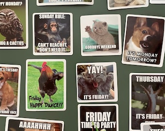 50 animal memes stickers  - Vinyle stickers bundle- Funny stickers pack- autocollants - friday - monday