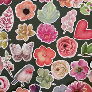 Lot 50 Stickers nature & fleurs  - papillon - oiseau - feuilles - Vinyle stickers bundle- style aquarelle - stickers pack- autocollants