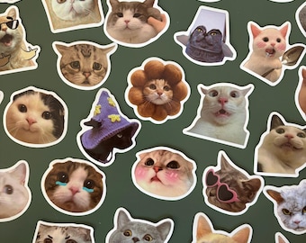 50 adesivi divertenti con meme di gatti - Pacchetto di adesivi in vinile - Pacchetto di adesivi divertenti - Adesivi