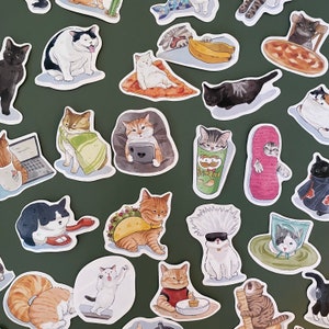 50 Stickers chats droles et food - Vinyle stickers bundle- Funny stickers pack- autocollants