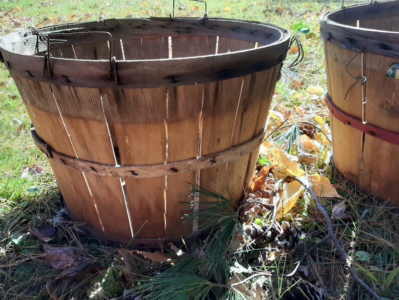Farm Harvest Bushel Baskets With Solid Lumbar Bottoms Etsy