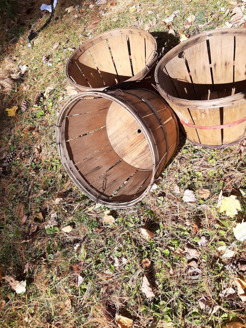 Farm Harvest Bushel Baskets With Solid Lumbar Bottoms Etsy