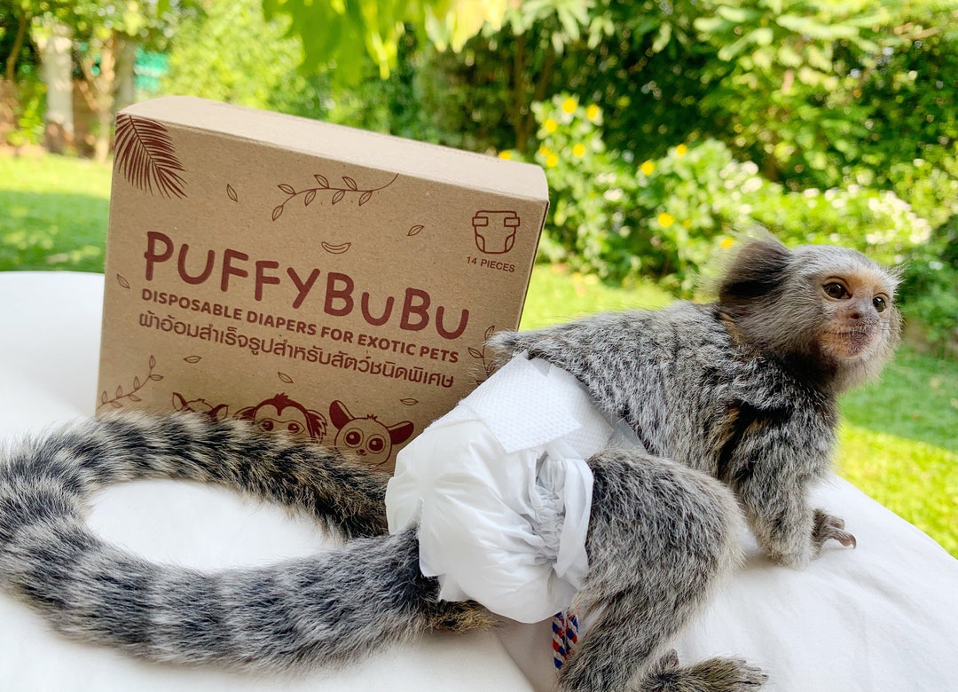 Disposable Diaper for Marmoset Monkey & Bush Baby Diaper Etsy
