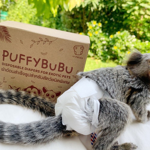 Disposable Diaper for Marmoset Monkey & Bush Baby Diaper Etsy UK
