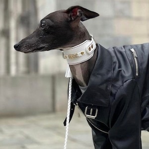 ハンドメイドレザー製犬用首輪＆リードセット｜イタリアン・グレー