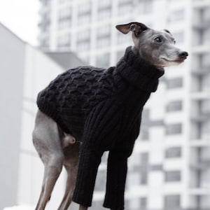 Pull en laine mérinos pour lévriers italiens. Pull en tricot fait main.