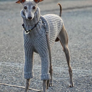 Knitted Sweater for Italian greyhounds and whippets . Handmade knit sweater