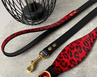 Louis Pup Monogram Leather Collar & Leash – Paws Circle