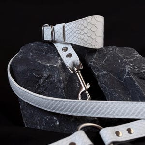 May include: A white lead featuring a textured snakeskin pattern, silver-toned metal hardware, a swivel snap hook, and a circular ring. The lead includes adjustable sections secured with silver rivets, providing a functional design for pet control.