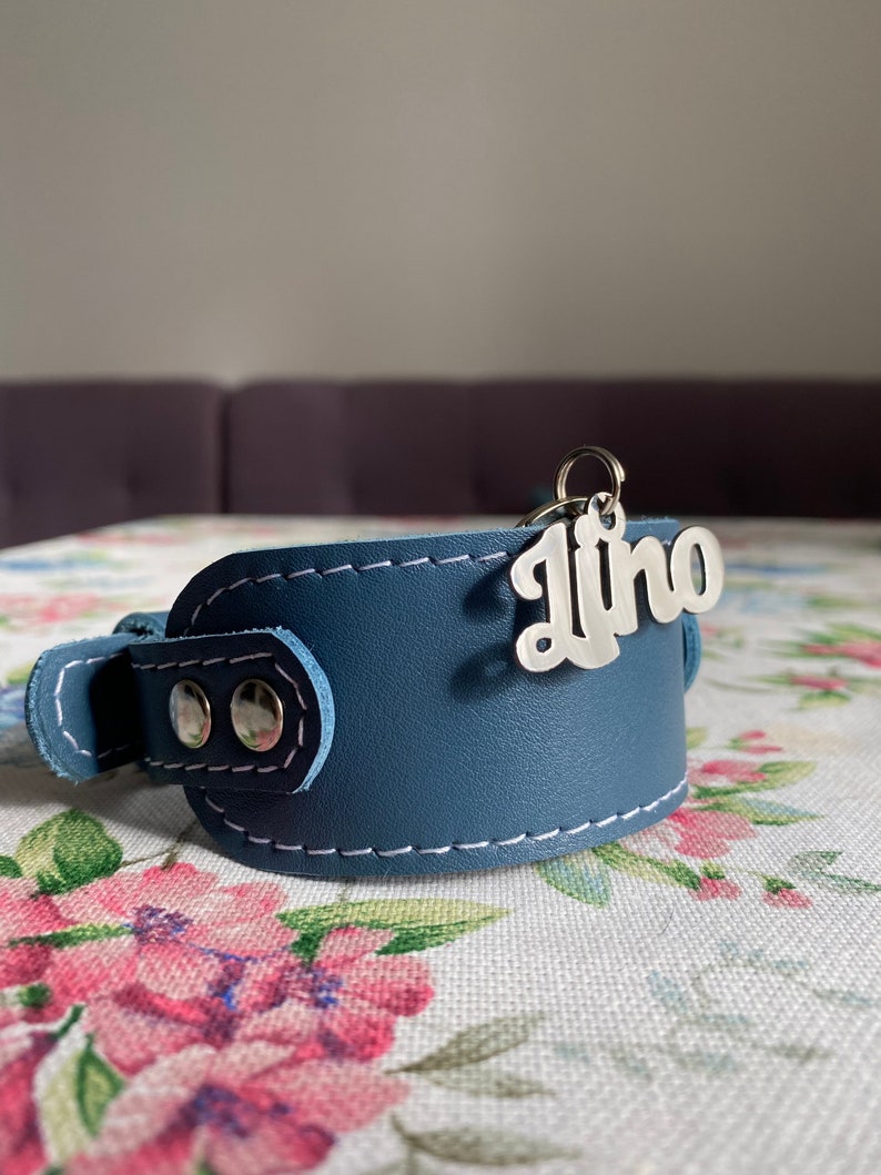 Beautiful Dog Nametag . Stainless Steel Nametag Silver Etsy