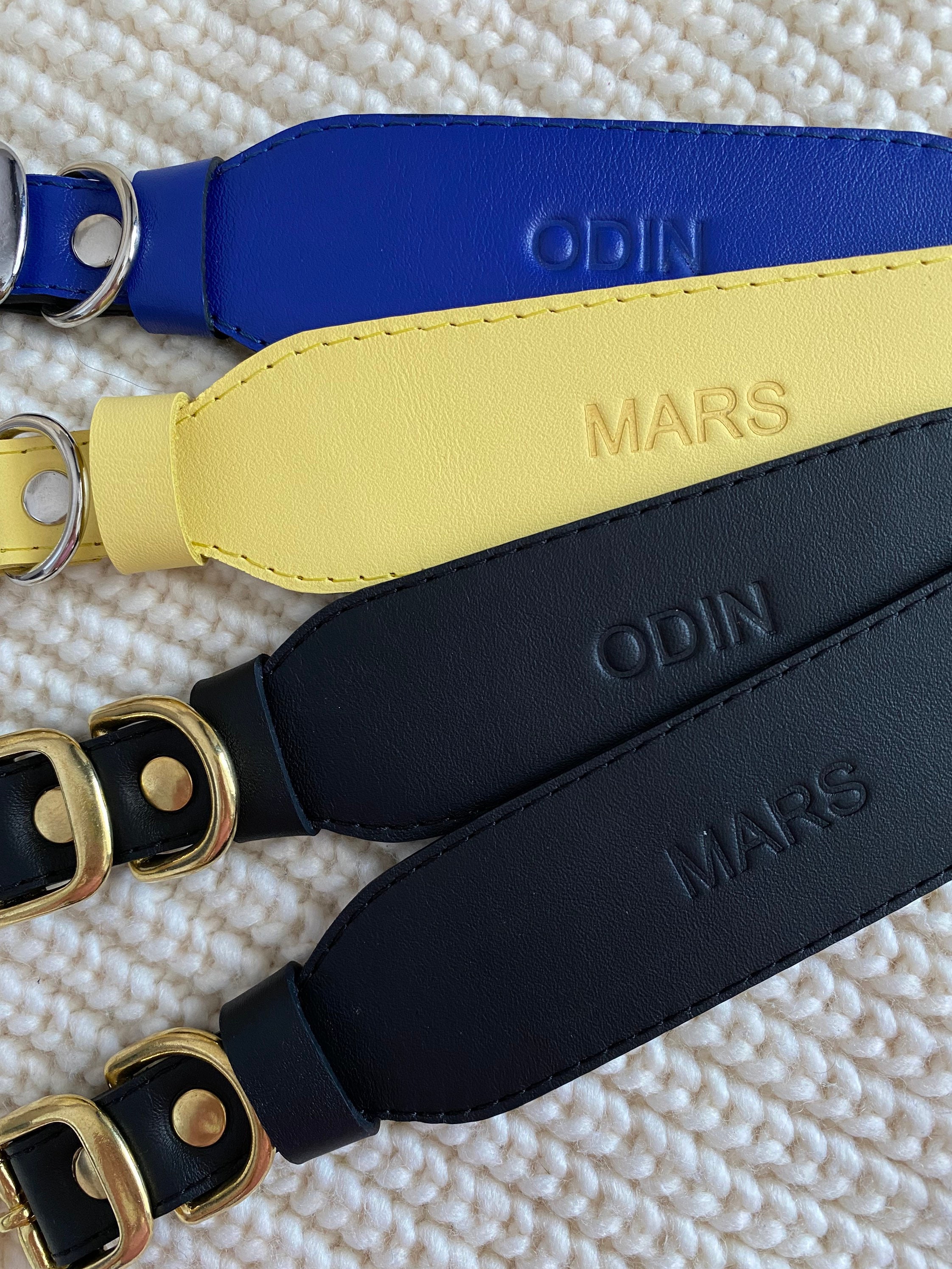 Personalized genuine leather wide collar for Italian greyhounds and whippets
