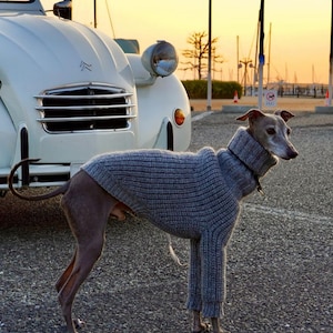 Pull en maille pour lévriers et whippets italiens. Pull en tricot fait main