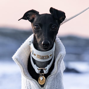 Set in vera pelle. Collare largo PawshCollar + collare sottile per cani e targhetta identificativa, targhetta identificativa, targhetta per cani.