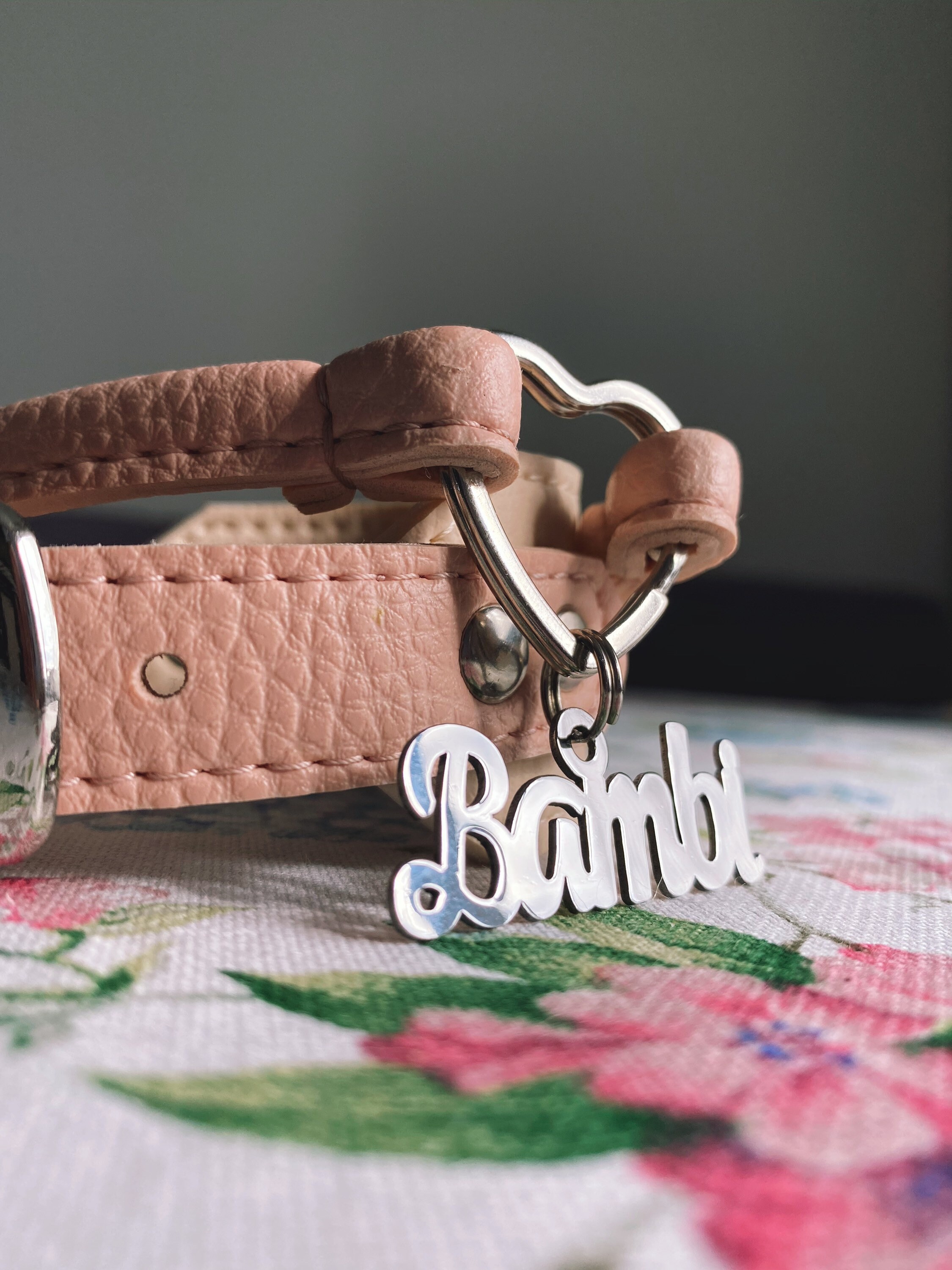 House Dog Collar Vegan Leather ID Tag Collar Collar for a Etsy UK