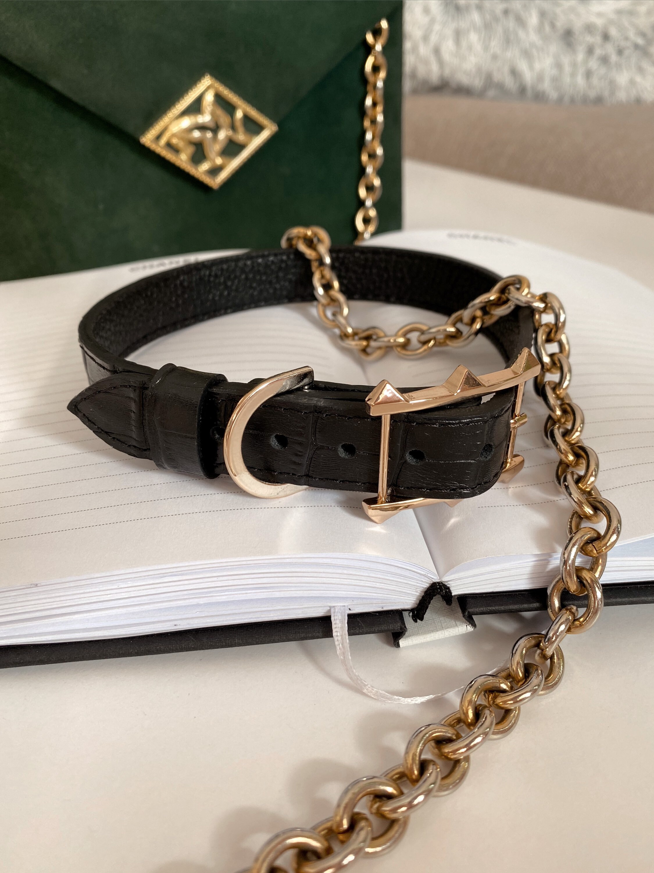 Thin stylish dog collar for small and medium size dogs . Black Etsy