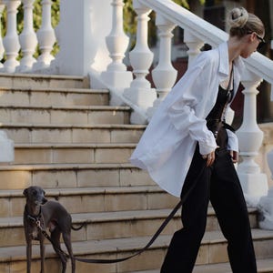 Op de afbeelding: Een grijze Italiaanse windhond met een zwarte halsband en riem, lopend naast een persoon in een wit overhemd, zwarte top, zwarte broek en zwarte sneakers met witte zolen, die een trap van beige stenen treden afloopt.
