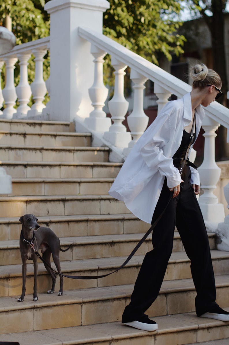 Op de afbeelding: Een grijze Italiaanse windhond met een zwarte halsband en riem, lopend naast een persoon in een wit overhemd, zwarte top, zwarte broek en zwarte sneakers met witte zolen, die een trap van beige stenen treden afloopt.