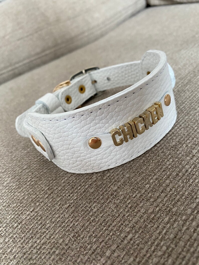 Personalized Wide Collars for Italian Greyhounds and Whippets. Etsy