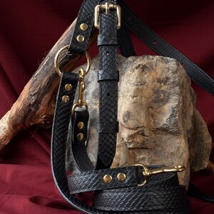 Adjustable Leather Hands-Free Dog Leash: Custom Made. Python dog leash