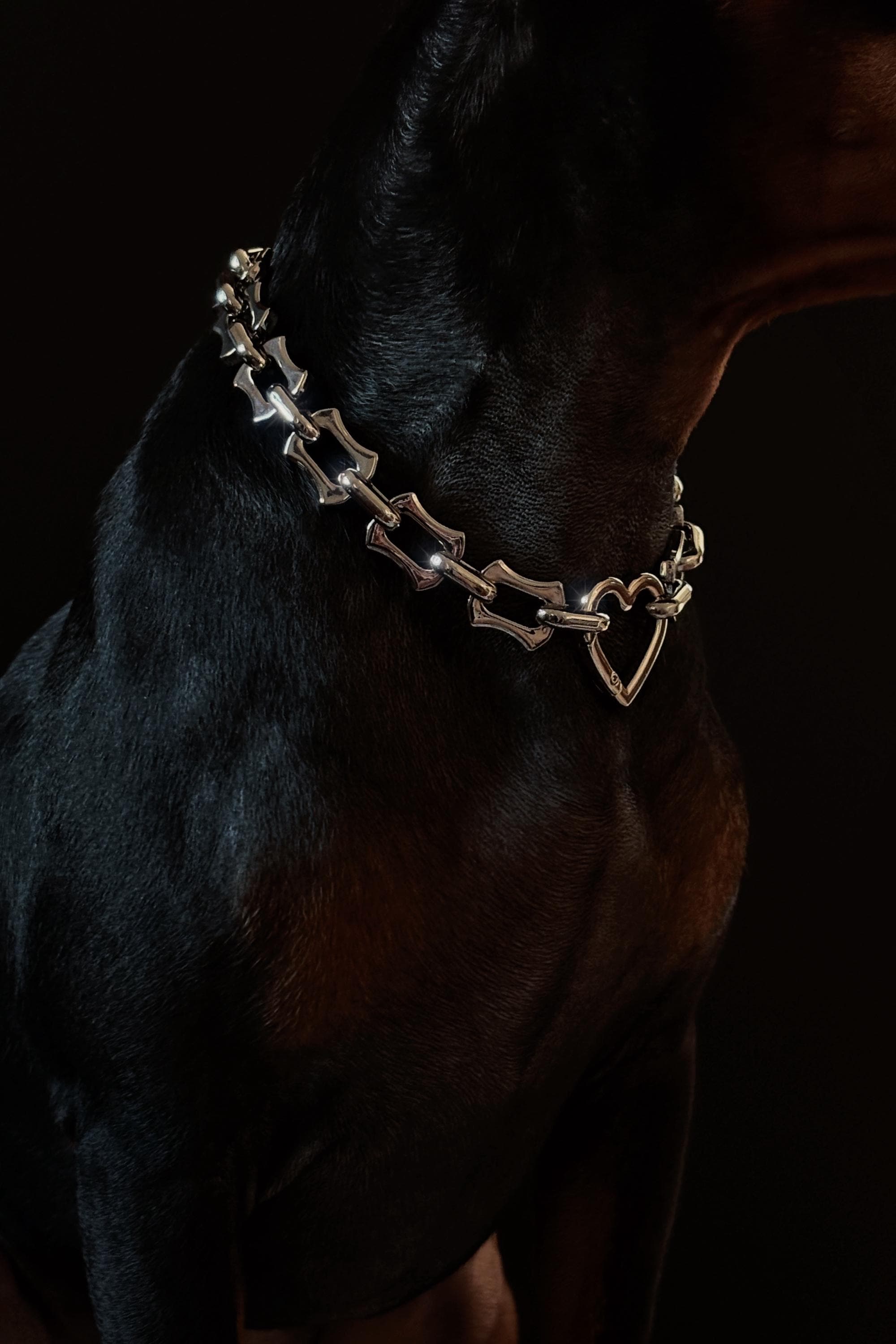 Luxury Stainless Steel Dog Chain With Heart Clasp - Etsy