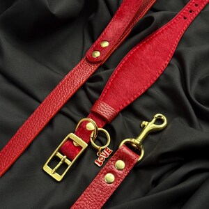 Könnte beinhalten: Rotes Leder-Halsband und Leine für Hunde mit goldfarbener Hardware. Das Halsband hat eine Schnalle und einen kleinen Anhänger mit der Aufschrift "LOVE". Die Leine hat einen passenden roten Griff und einen goldfarbenen Karabinerhaken.