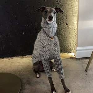 Pull en maille pour lévriers italiens . Pull en tricot fait main