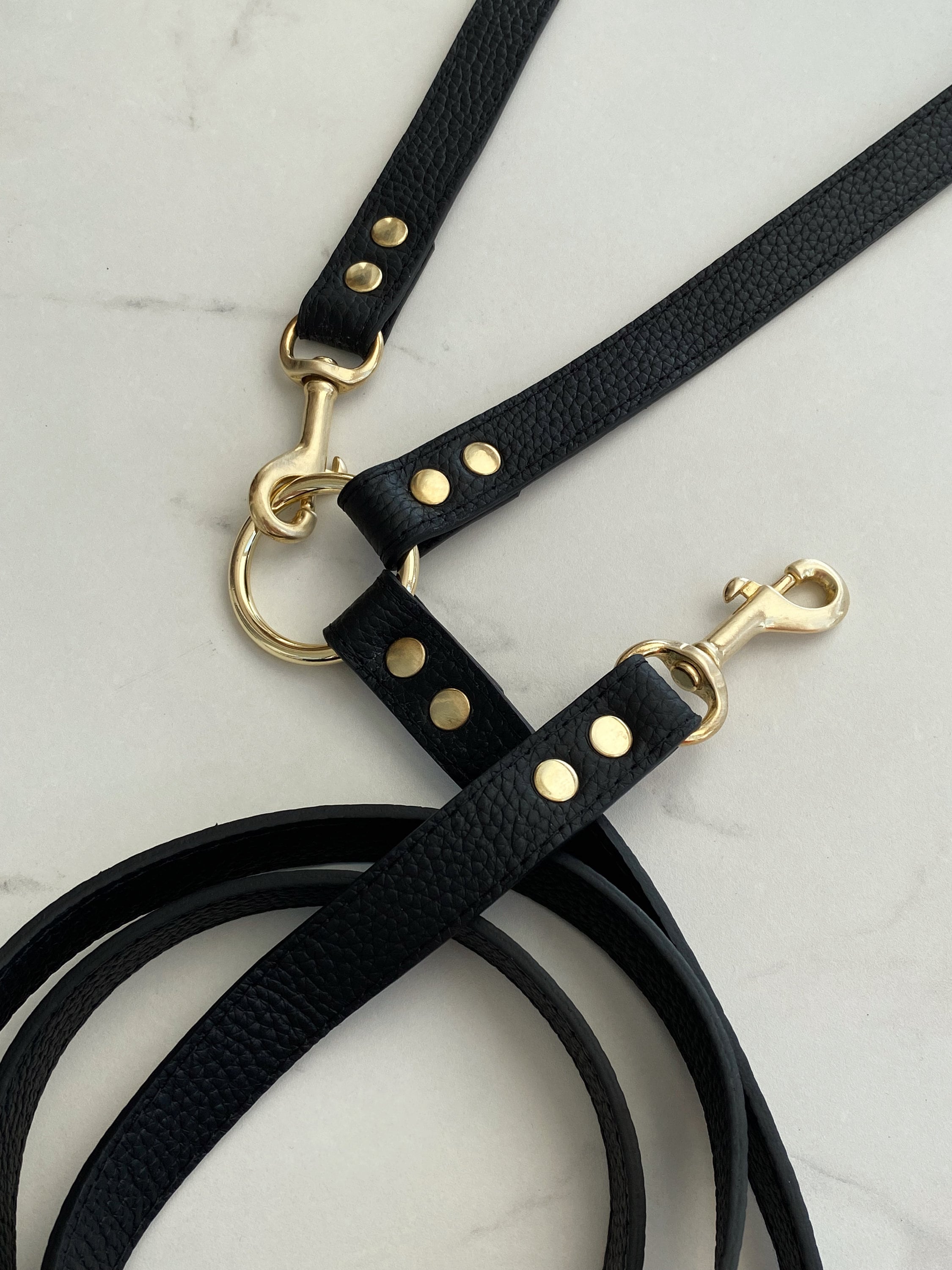 adler dog adler hands free leash leather Trailblazer BioThane Hands-Free Dog Leash main image 1
