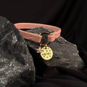 Genuine leather house collar with a nametag. Personalized collar for dogs