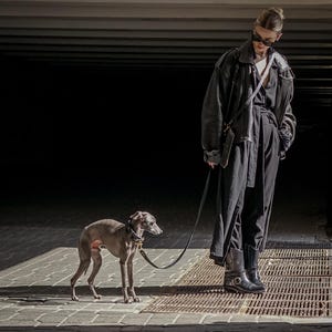 Op de afbeelding: Een grijze Italiaanse windhond met een zwarte halsband en riem, staand naast een persoon in een zwart leren jack, zwarte broek en zwarte laarzen. De persoon draagt een donkere zonnebril en een zwarte schoudertas met een riem.