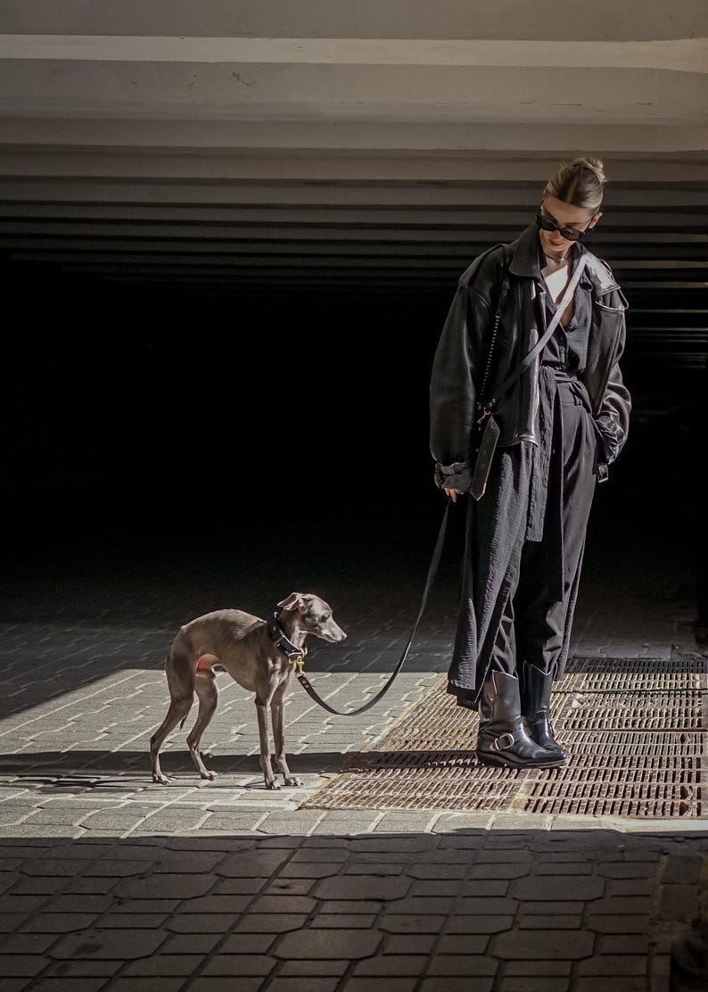 Op de afbeelding: Een grijze Italiaanse windhond met een zwarte halsband en riem, staand naast een persoon in een zwart leren jack, zwarte broek en zwarte laarzen. De persoon draagt een donkere zonnebril en een zwarte schoudertas met een riem.