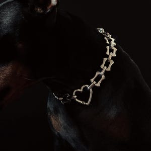 Puede incluir: Un collar plateado para perros con un dije en forma de corazón y eslabones decorativos. El collar lo lleva un perro negro sobre un fondo oscuro. El collar parece ser de metal.
