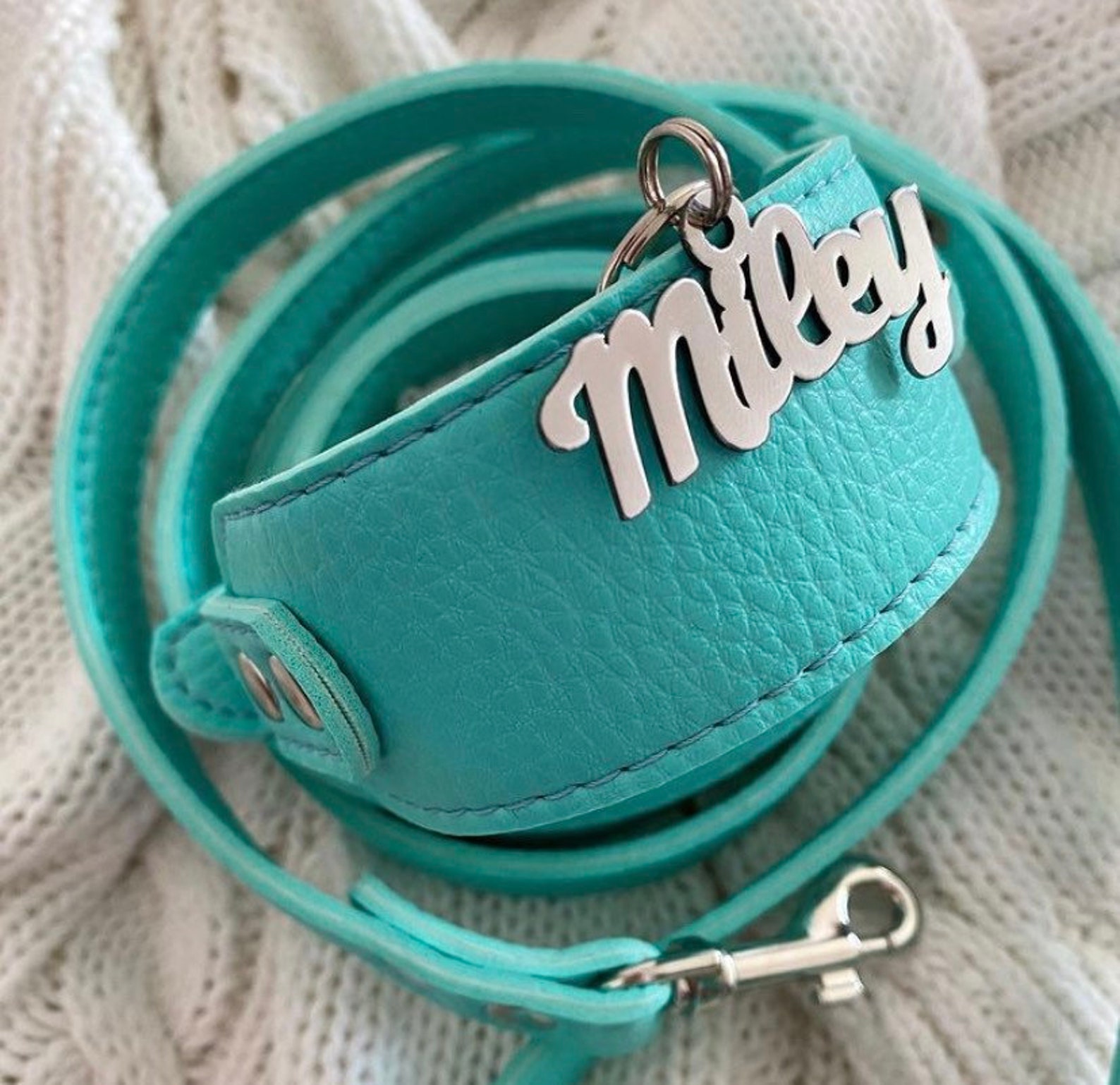 Beautiful Dog Nametag . Stainless Steel Nametag Silver Etsy