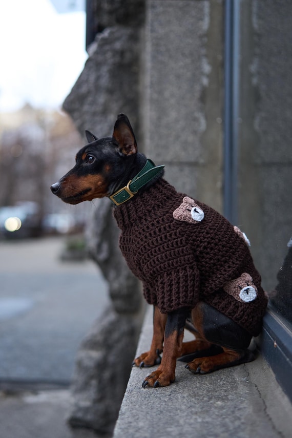 Buy Knitted Sweater for Small Dogs Handmade Knit Sweater With