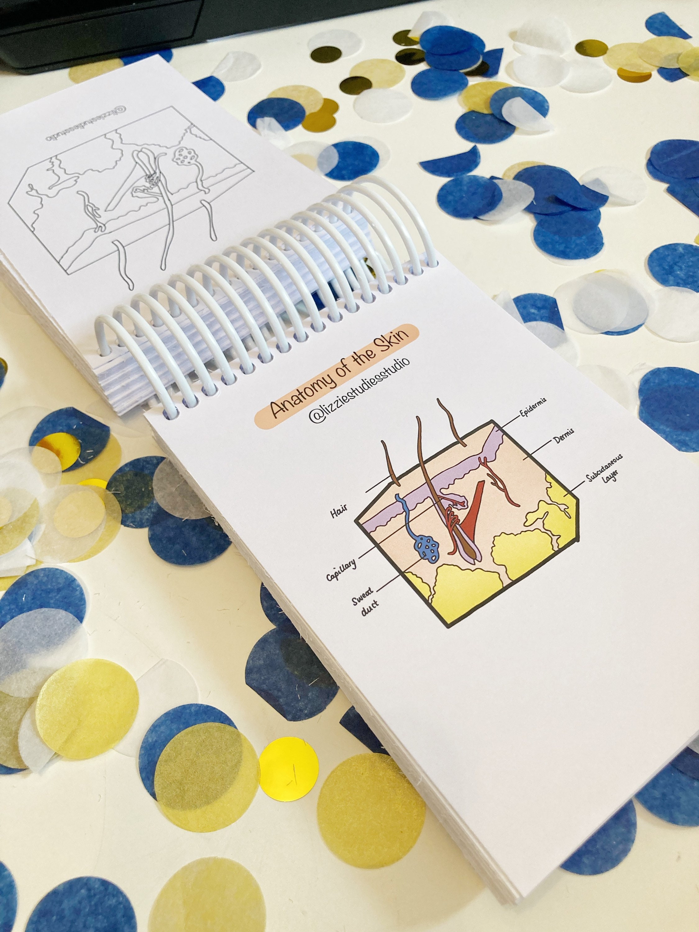 Anatomy and Physiology Flashcards for Paramedics Students Etsy UK